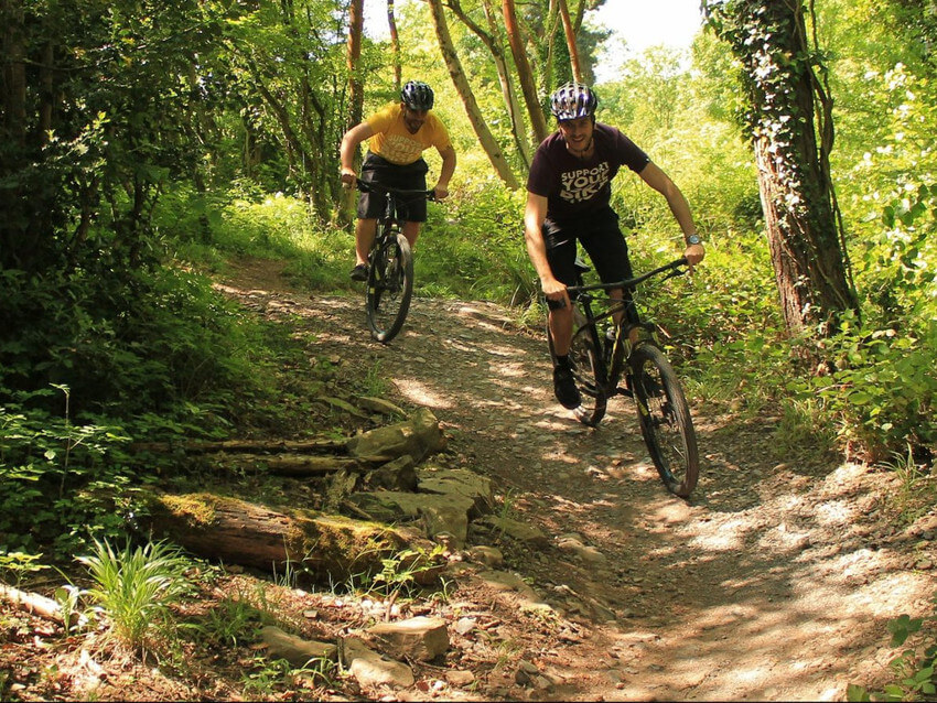 Two people on mountain bikes on a forest trail